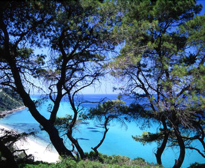 Margarita Sea Side Hotel Kallithea  المظهر الخارجي الصورة